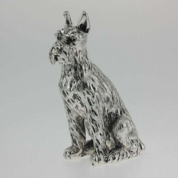 SCHNAUZER ARGENTATO