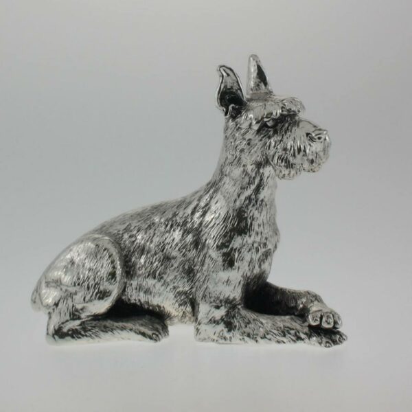 SCHNAUZER ARGENTATO