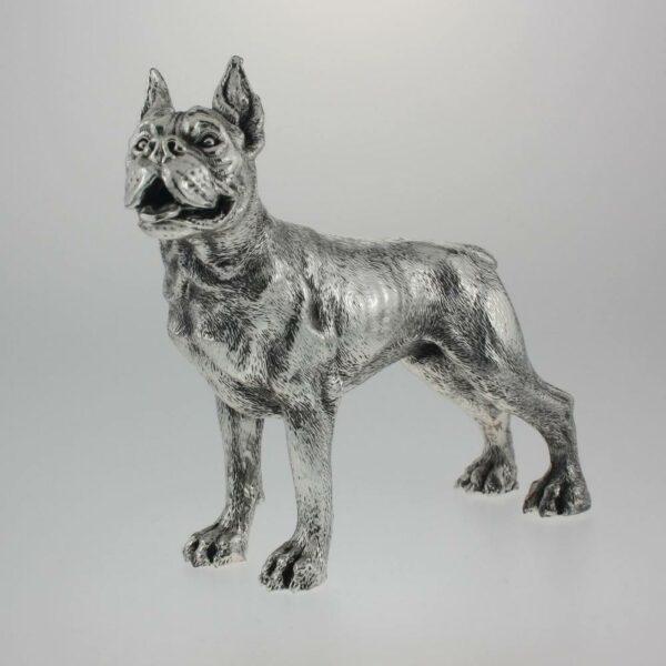 BOXER ARGENTATO