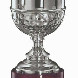 TROFEO IN ARGENTO 800/°°