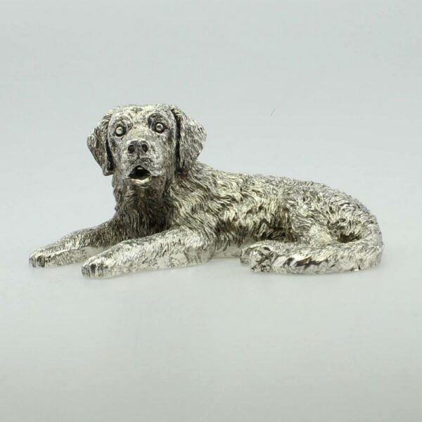 LABRADOR ARGENTATO