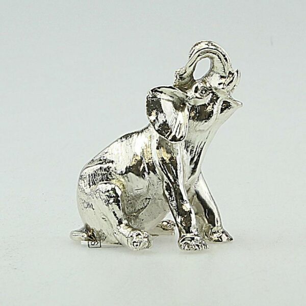 ELEFANTE ARGENTATO