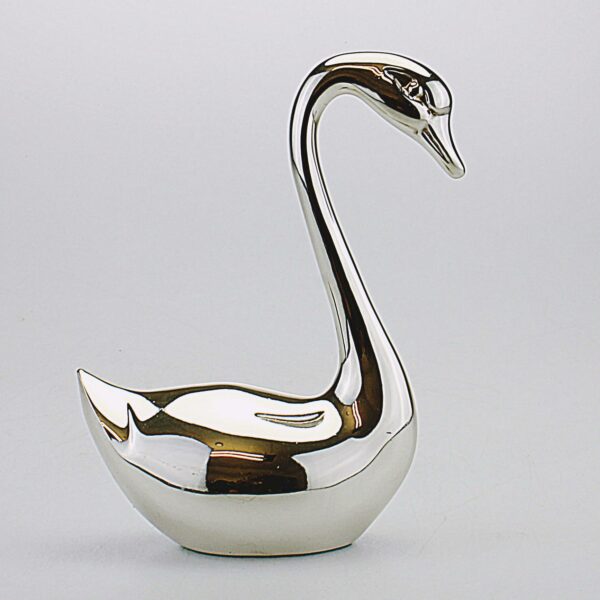 CIGNO ARGENTATO