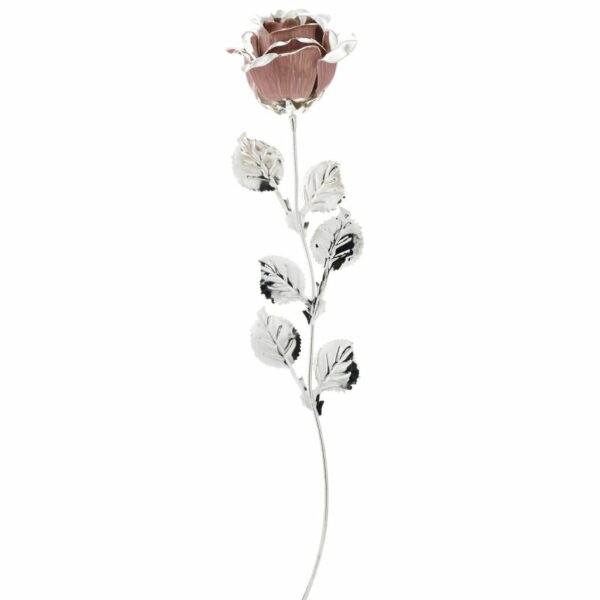 ROSA ARGENTATA ROSA CM 39