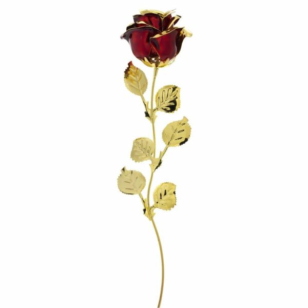 ROSA DORATA BORDEAUX CM 39