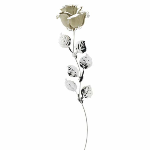 ROSA ARGENTATA BIANCA CM 39